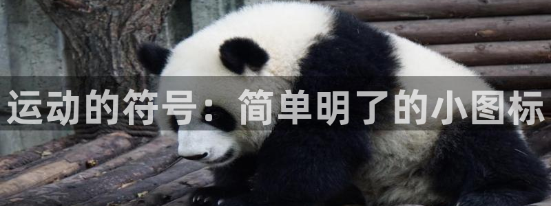 emc易倍体育官网下载注册：运动的符号：简单明了的小