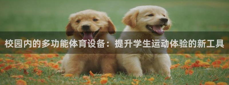 emc易倍体育官方正版app开户：校园内的多功能体育设备：提