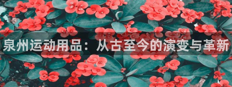 emc易倍体育官方正版app娱乐下载：泉州运动用品：从古至今