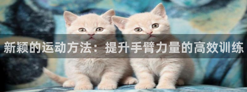 emc易倍体育官网下载平台APP：新颖的运动方法：提升手臂力