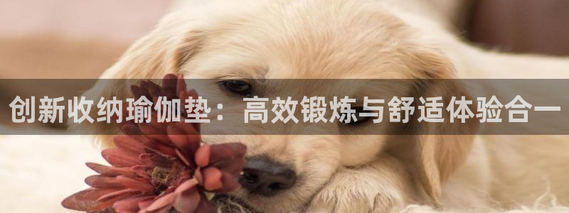 emc易倍体育官网下载招商电话