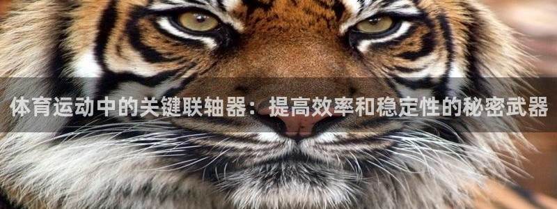 哈哈体育下载：体育运动中的关键联轴器：提高效率和稳定性的秘密武器