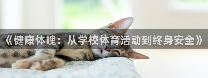 哈哈体育下载：《健康体魄：从学校体育活动到终身安全》