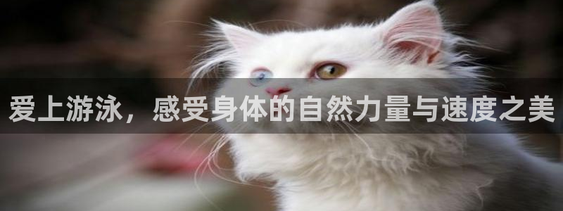 哈哈体育：爱上游泳，感受身体的自然力量与速度之美