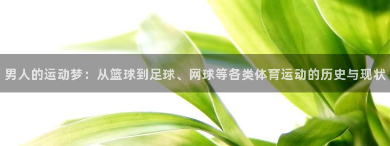 哈哈体育：男人的运动梦：从篮球到足球、网球等各类体育运动的历史与现状