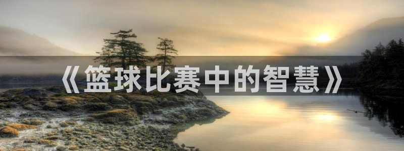 哈哈体育十年：《篮球比赛中的智慧》