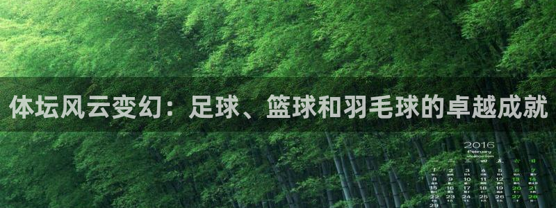 哈哈体育下载：体坛风云变幻：足球、篮球和羽毛球的卓越成就