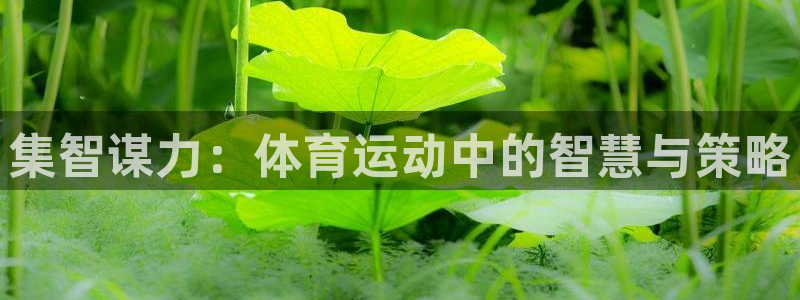哈哈体育下载：集智谋力：体育运动中的智慧与策略