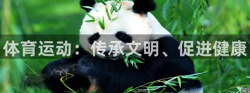 哈哈体育下载：体育运动：传承文明、促进健康