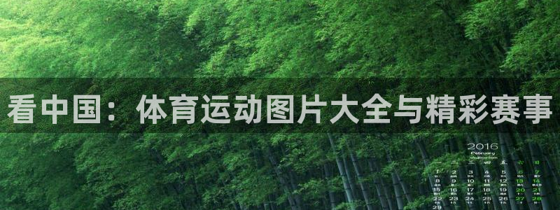 哈哈体育：看中国：体育运动图片大全与精彩赛事