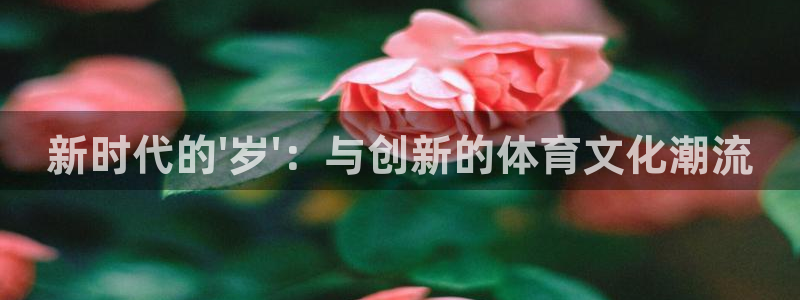 哈哈体育：新时代的\'岁\'：与创新的体育文化潮流
