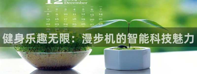 emc易倍体育官方正版app娱乐网站：健身乐趣无限：漫步机的